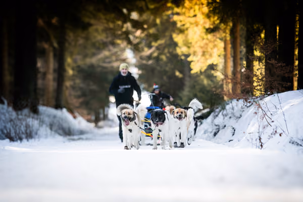 Šediváčkův long – 21. ledna 2026