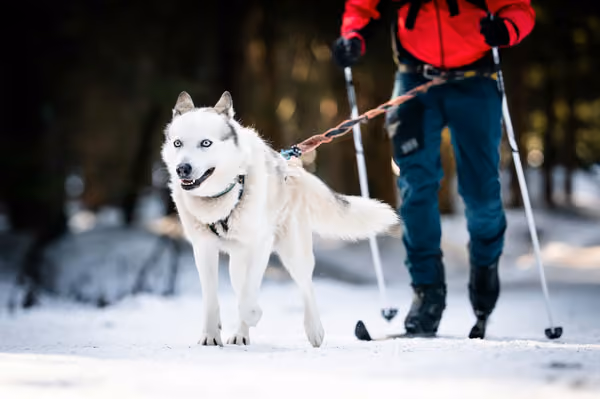 Šediváčkův long – 21. ledna 2026