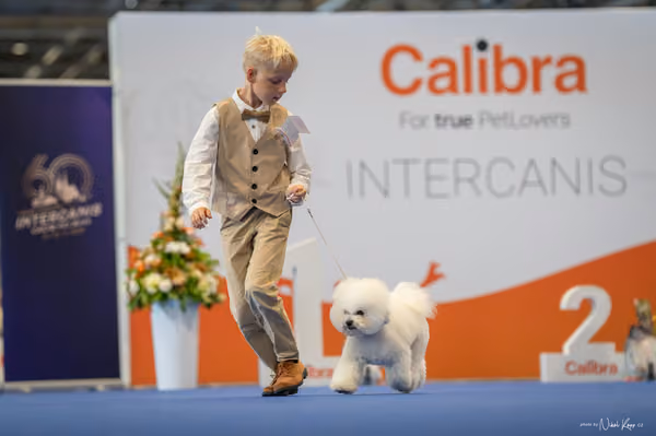 INTERCANIS Brno – JH 1