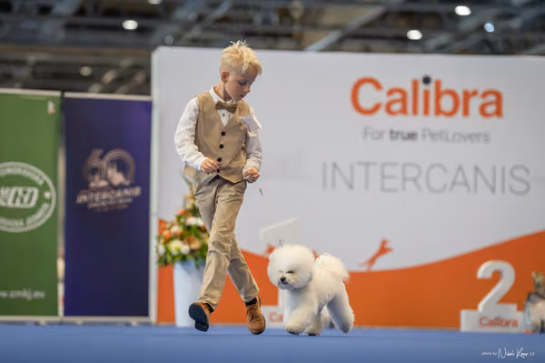 INTERCANIS Brno – JH 1