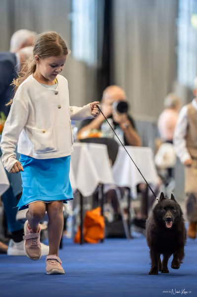 INTERCANIS Brno – JH 1