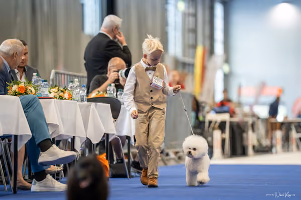 INTERCANIS Brno – JH 1