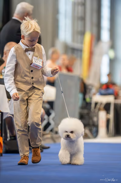 INTERCANIS Brno – JH 1