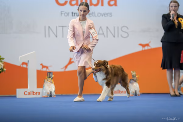 INTERCANIS Brno – JH 1