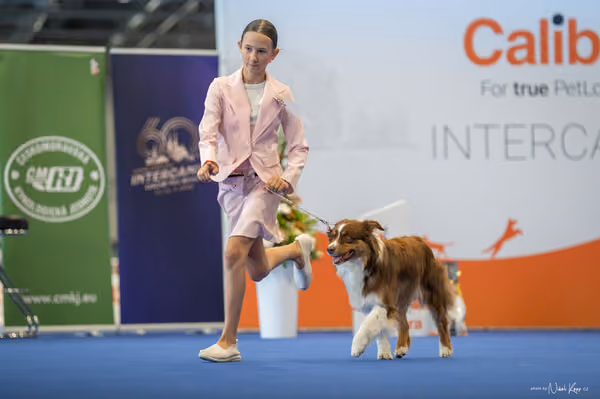 INTERCANIS Brno – JH 1