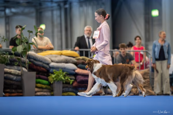INTERCANIS Brno – JH 1
