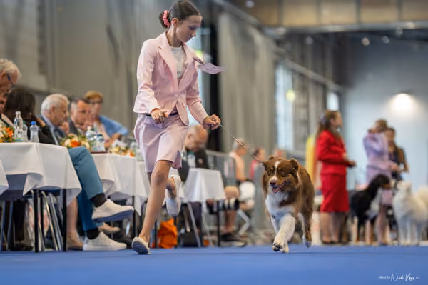 INTERCANIS Brno – JH 1