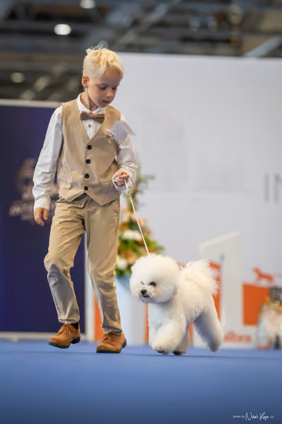INTERCANIS Brno – JH 1