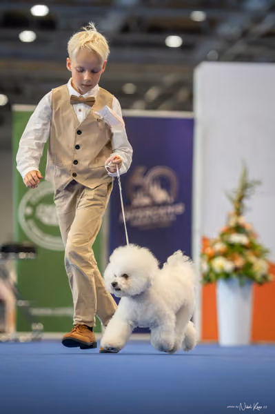 INTERCANIS Brno – JH 1