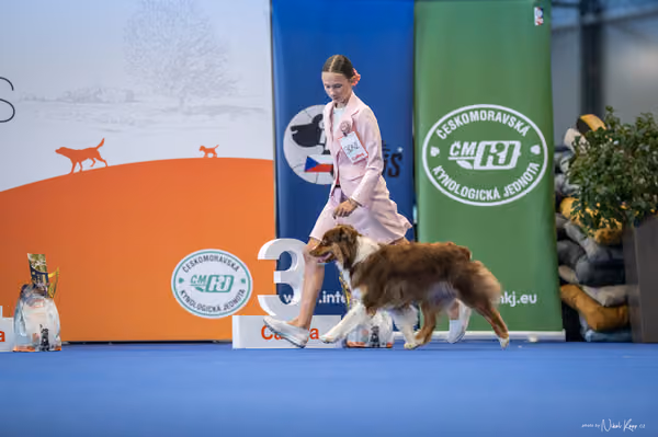 INTERCANIS Brno – JH 1