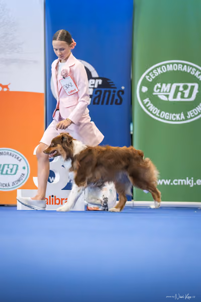 INTERCANIS Brno – JH 1