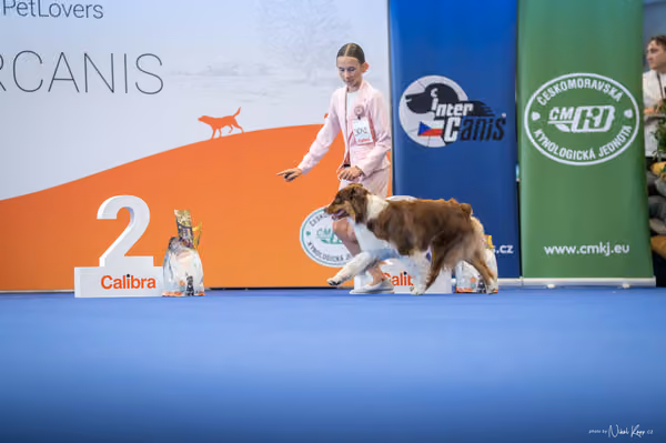 INTERCANIS Brno – JH 1