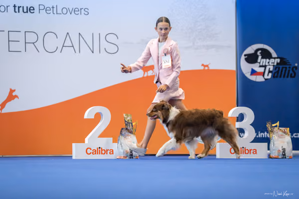 INTERCANIS Brno – JH 1