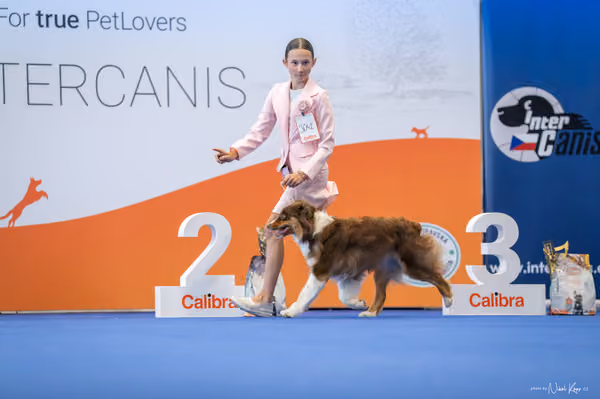 INTERCANIS Brno – JH 1