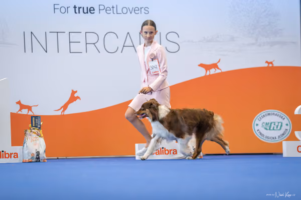 INTERCANIS Brno – JH 1