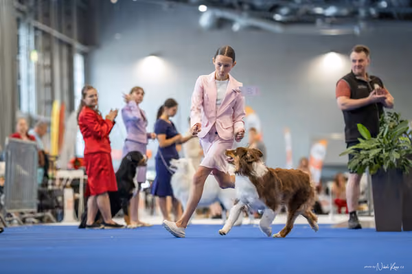 INTERCANIS Brno – JH 1