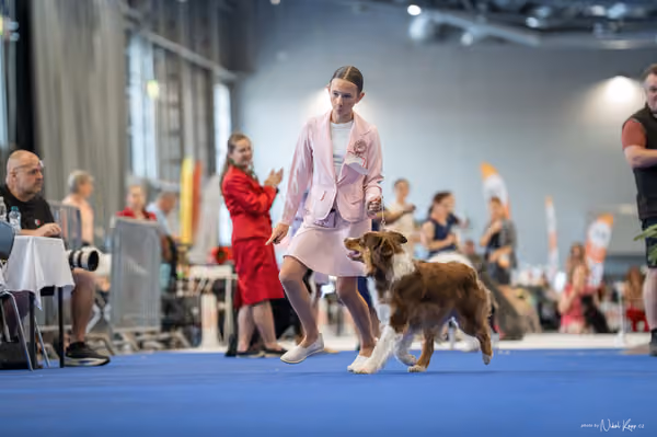 INTERCANIS Brno – JH 1