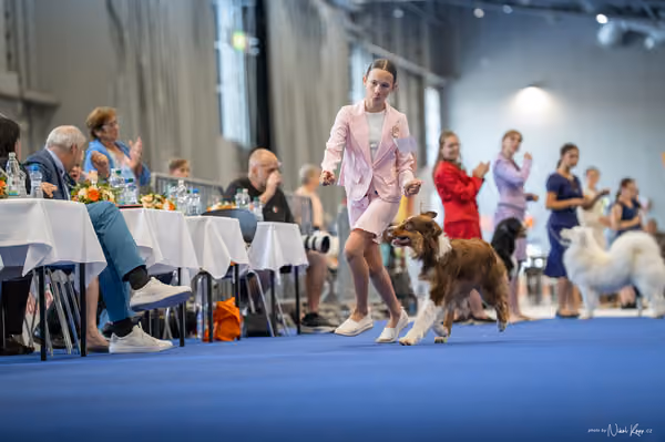INTERCANIS Brno – JH 1