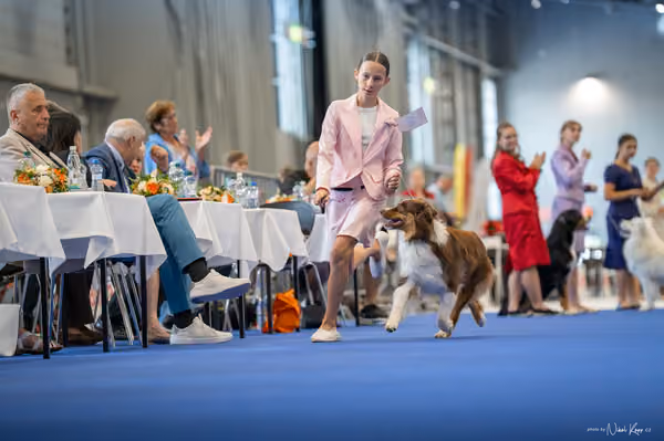 INTERCANIS Brno – JH 1