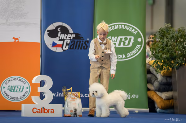 INTERCANIS Brno – JH 1