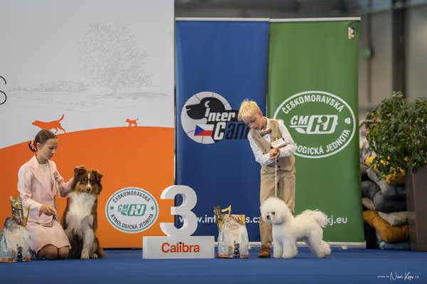 INTERCANIS Brno – JH 1