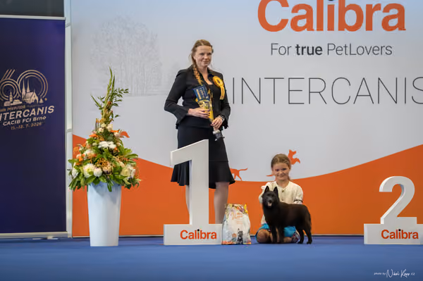 INTERCANIS Brno – JH 1