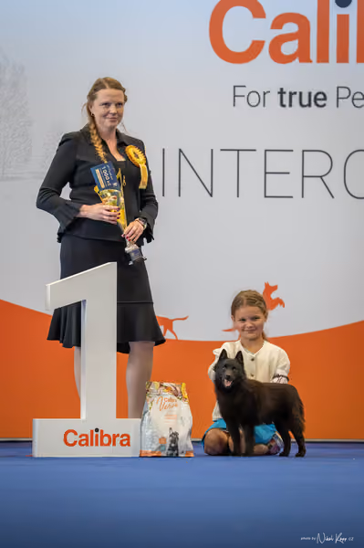 INTERCANIS Brno – JH 1