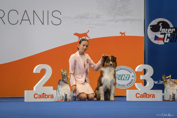 INTERCANIS Brno – JH 1