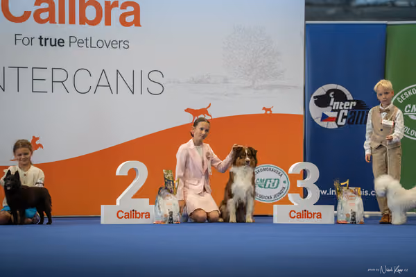 INTERCANIS Brno – JH 1