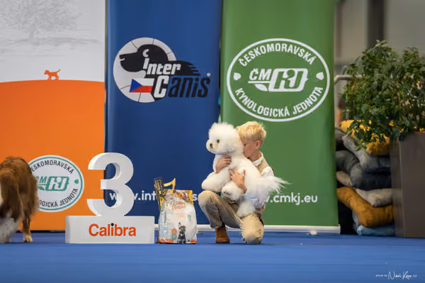 INTERCANIS Brno – JH 1
