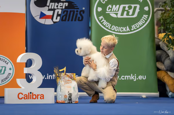 INTERCANIS Brno – JH 1
