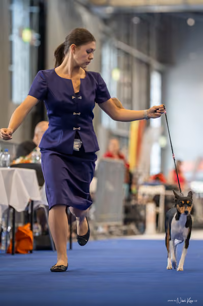 INTERCANIS Brno – JH 2