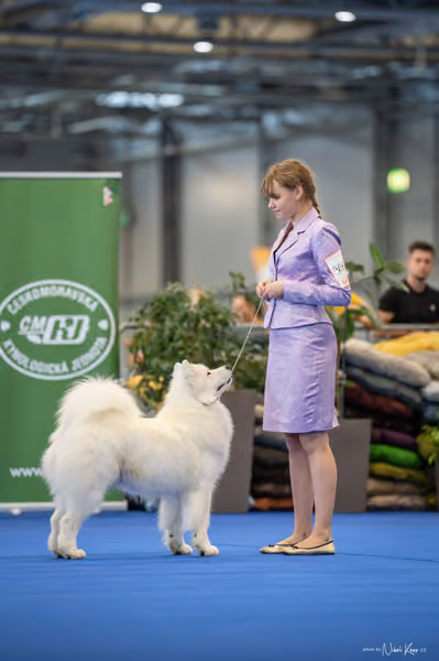 INTERCANIS Brno – JH 2
