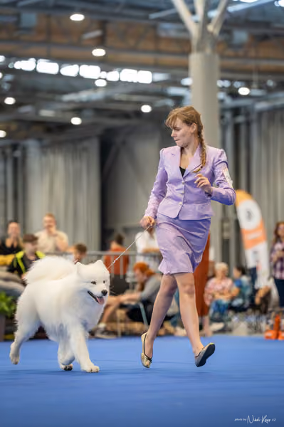 INTERCANIS Brno – JH 2