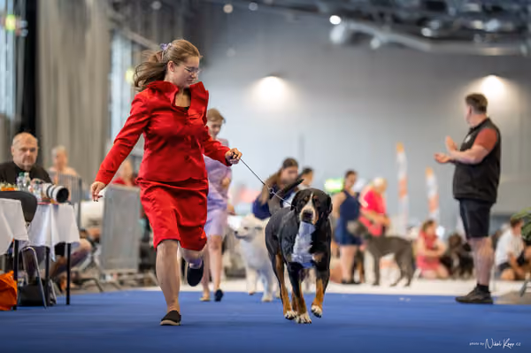 INTERCANIS Brno – JH 2
