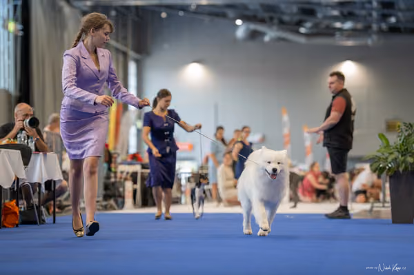 INTERCANIS Brno – JH 2