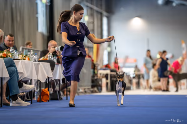 INTERCANIS Brno – JH 2
