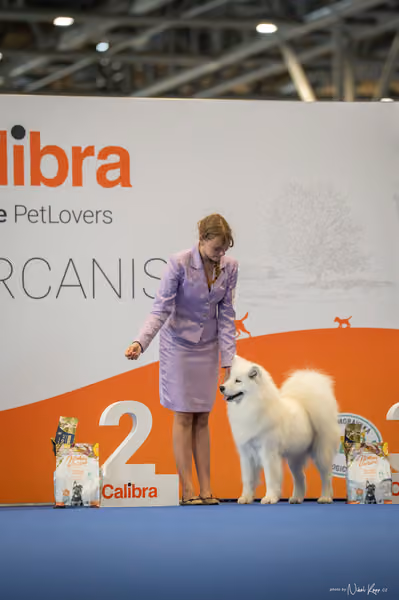 INTERCANIS Brno – JH 2