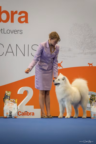 INTERCANIS Brno – JH 2