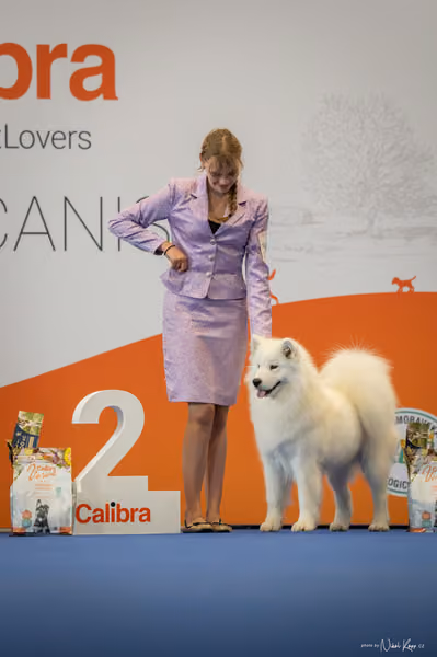 INTERCANIS Brno – JH 2
