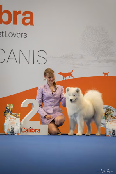 INTERCANIS Brno – JH 2