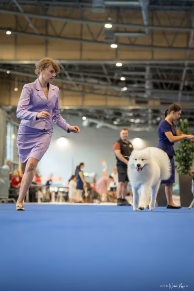 INTERCANIS Brno – JH 2