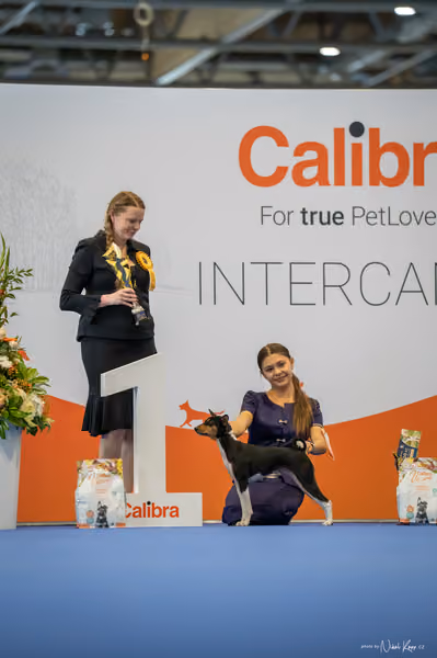 INTERCANIS Brno – JH 2