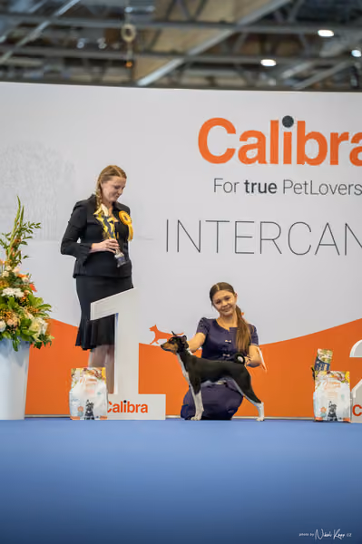 INTERCANIS Brno – JH 2
