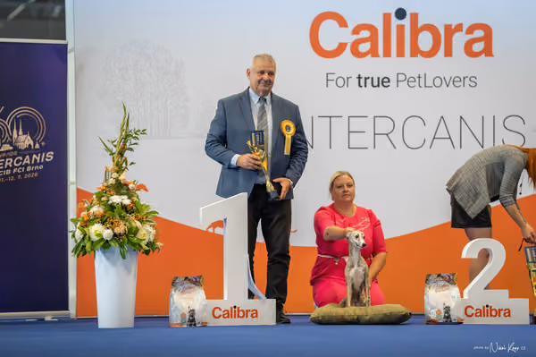 INTERCANIS Brno – ŠTĚNĚ