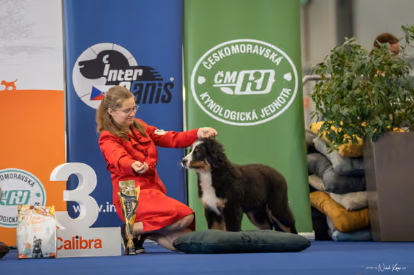 INTERCANIS Brno – ŠTĚNĚ