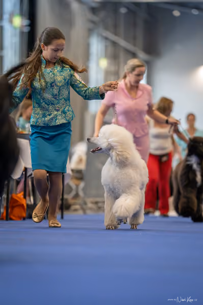 INTERCANIS Brno – DOROST