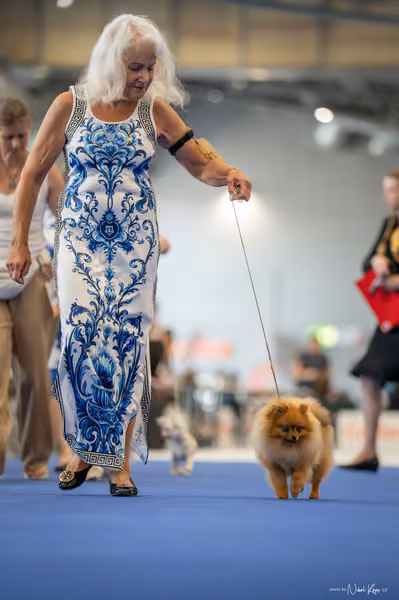 INTERCANIS Brno – DOROST