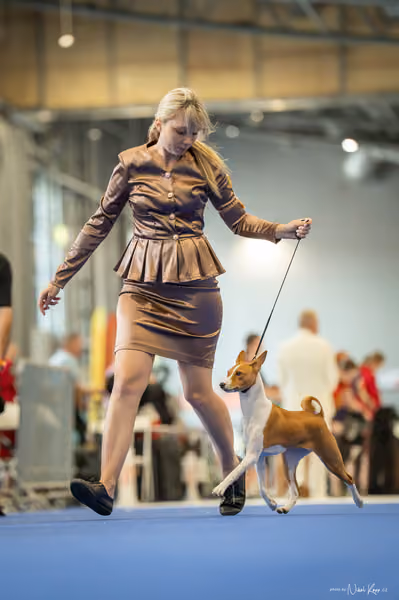 INTERCANIS Brno – DOROST