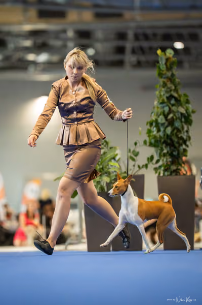 INTERCANIS Brno – DOROST